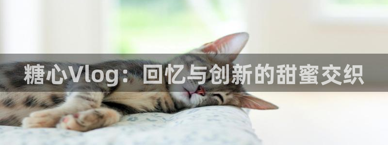 糖心vlog地雷系：糖心Vlog：回忆与创新的甜蜜交织