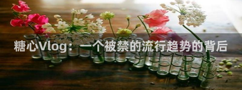 糖心vlog芭芭拉小姐:糖心Vlog:一个被禁的流行趋势的背后