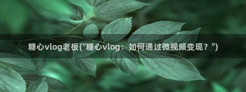糖心vlog旅途：糖心vlog老板(\