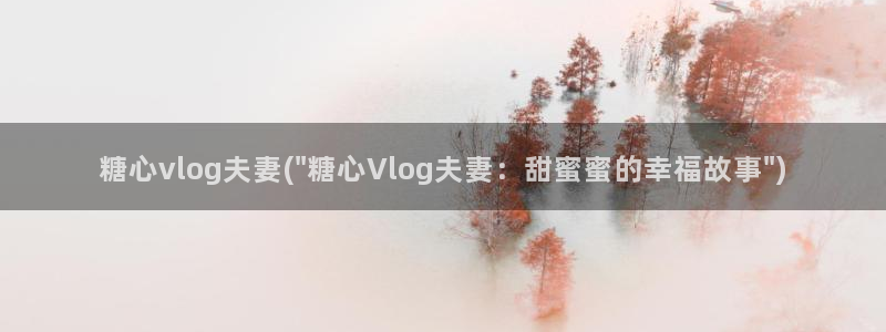 cctv糖心vlog:糖心vlog夫妻(\