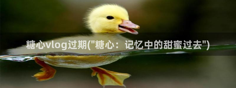 糖心vlog破解章节:糖心vlog过期(\