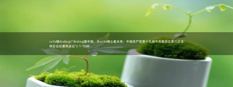 糖心vlog百度云盘：cctv糖心vlo