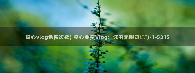 ios糖心vlog下载：糖心vlog免费次数(\