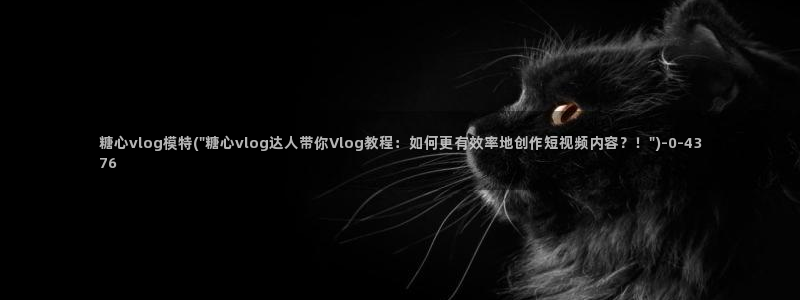 糖心VLOG传媒唐伯虎：糖心vlog模特(\