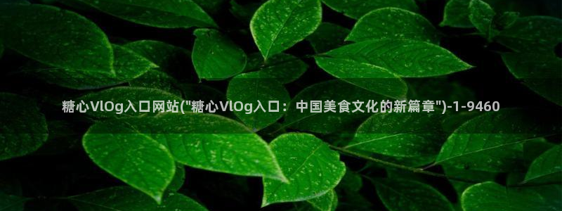 糖心vlog系列系列：糖心VlOg入口网