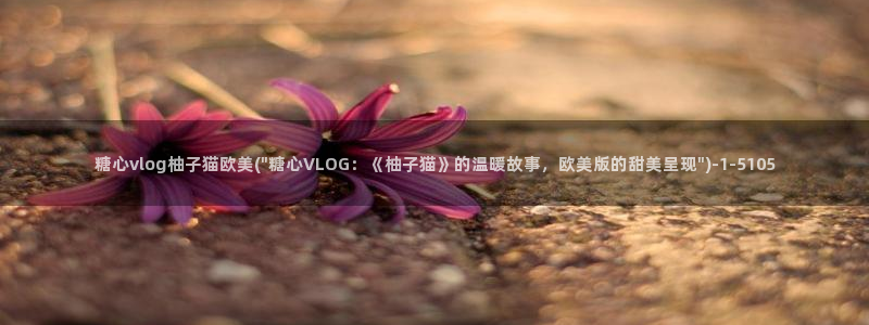 糖心vlog七享