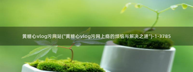 糖心vlog 是否安全