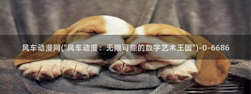 yy动漫：风车动漫网(\