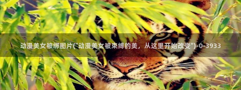 电影动漫：动漫美女被绑图片(\