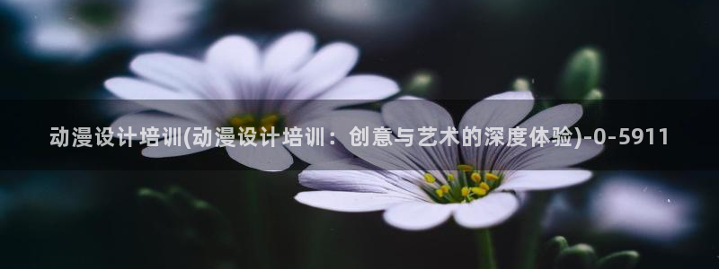 朋友的妈妈动漫：动漫设计培训(动漫设计培训：创意与艺术的深度体验)