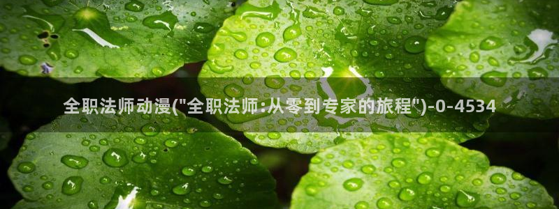 妖精动漫：全职法师动漫(\