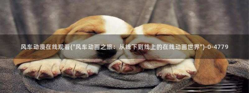 情色动漫：风车动漫在线观看(\