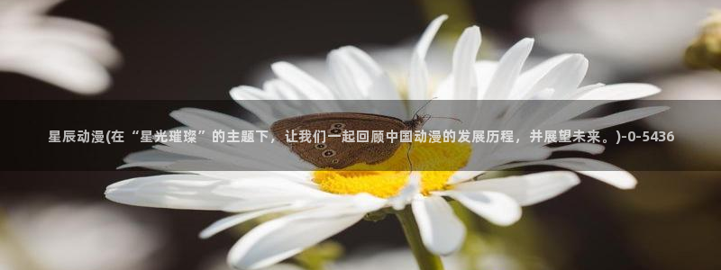动漫：星辰动漫(在“星光璀璨”的主题下，让我们一起回顾中国动漫的发展历程，并展望未来。)