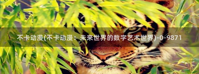 动漫日记：不卡动漫(不卡动漫：未来世界的数字艺术世界)