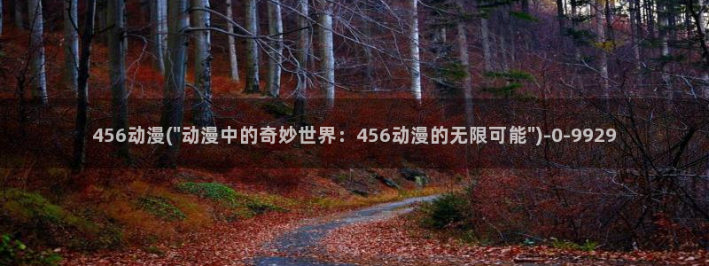 奇奇动漫网：456动漫(\