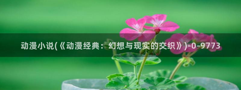 动漫御姐：动漫小说(《动漫经典：幻想与现实的交织》)