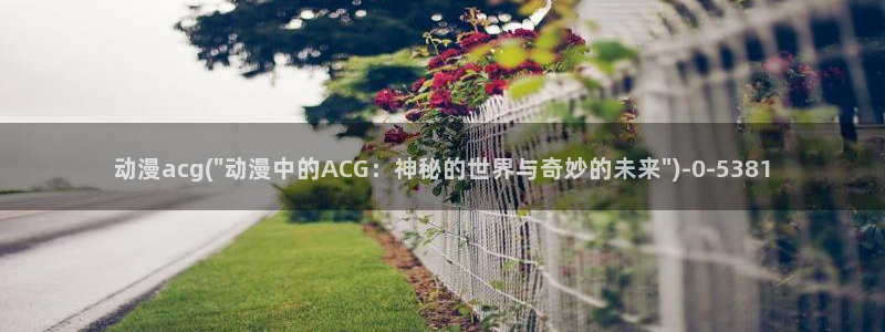 another动漫