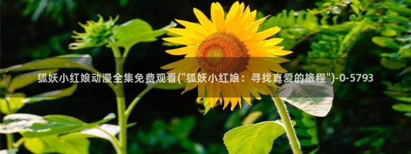 日本色情动漫:狐妖小红娘动漫全集免费观看(\