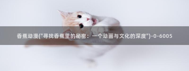 风车动漫